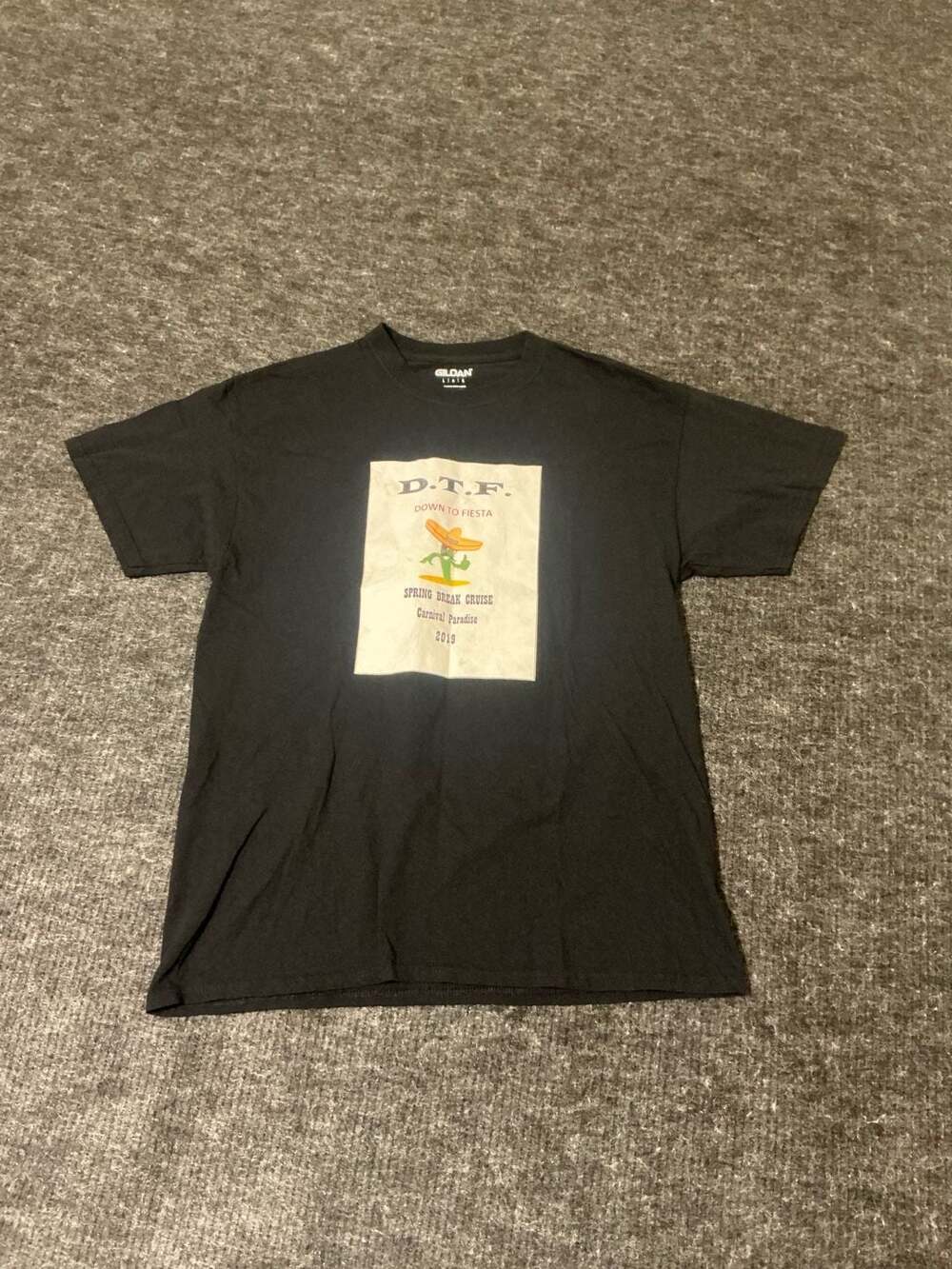 Gildan Carnival Paradise 2019 Spring Break Cruise D.T.F Down To Fiesta T-Shirt